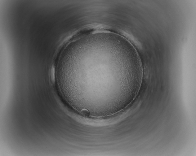 X0000114570014200910191512