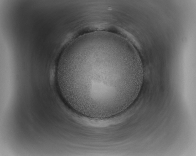 X0000114570018200910191512