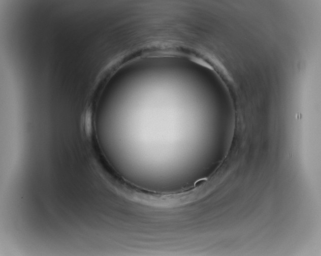 X0000114570019200910191512