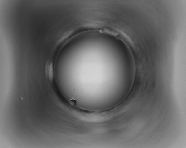 X0000114570020200910191512