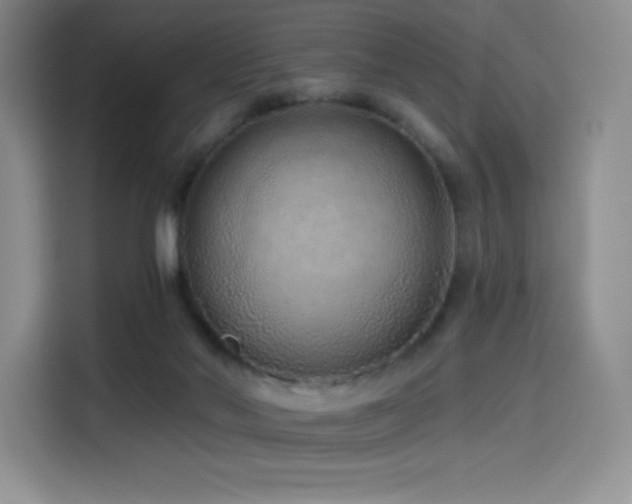 X0000114570022200910191512