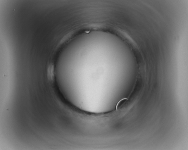 X0000114570024200910191512