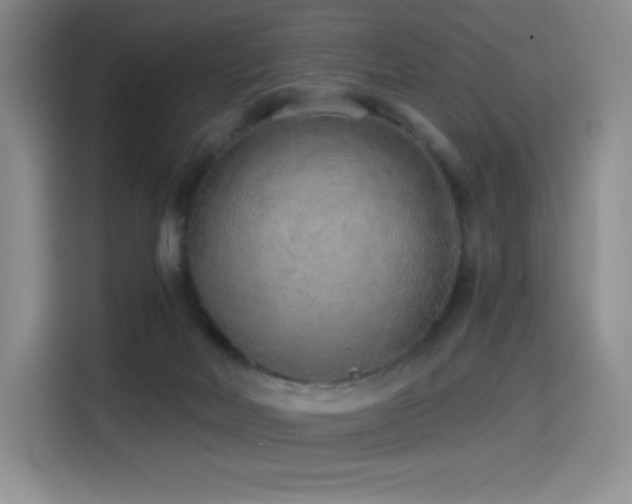 X0000114570026200910191512