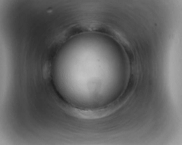 X0000114570030200910191512