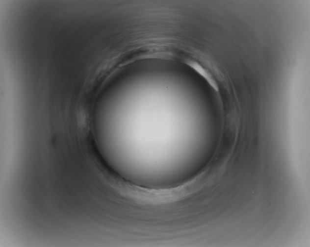 X0000114570031200910191512