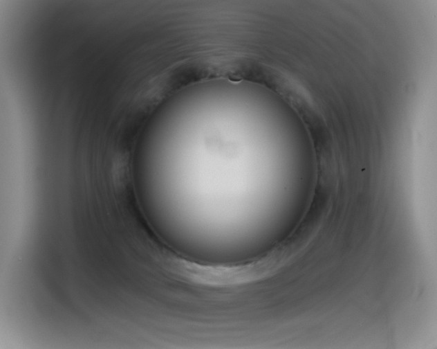 X0000114570034200910191512