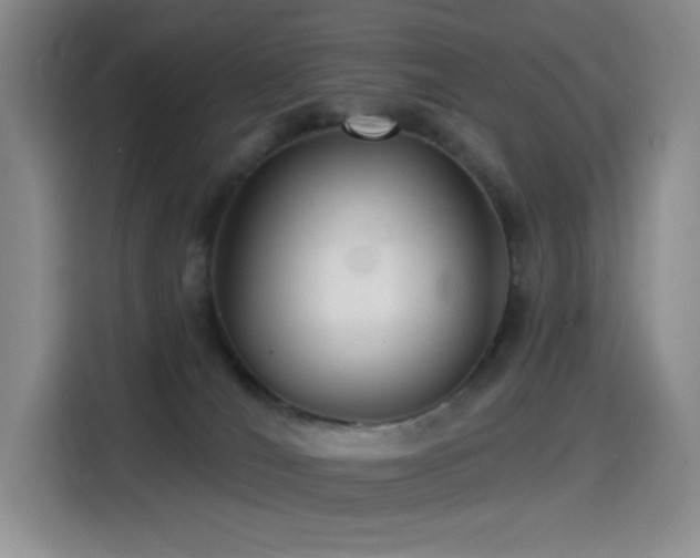 X0000114570036200910191512