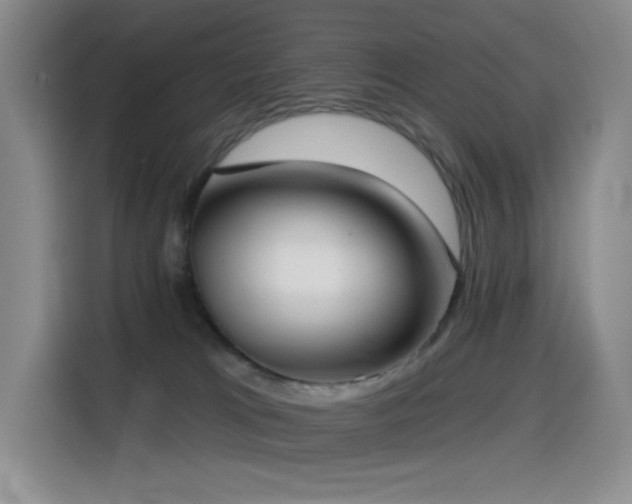 X0000114570037200910191512