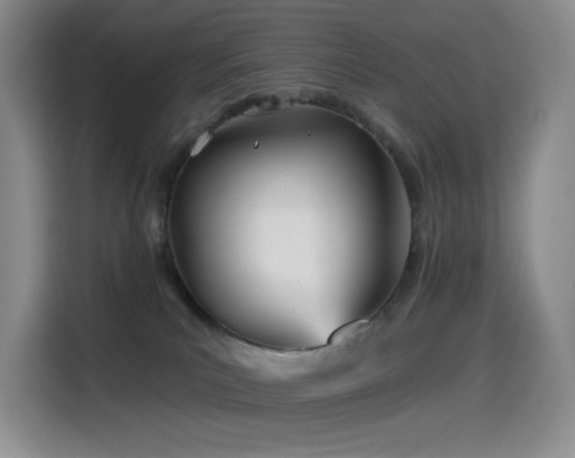 X0000114570039200910191512