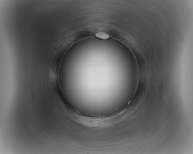 X0000114570040200910191512