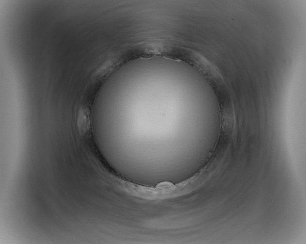 X0000114570043200910191512