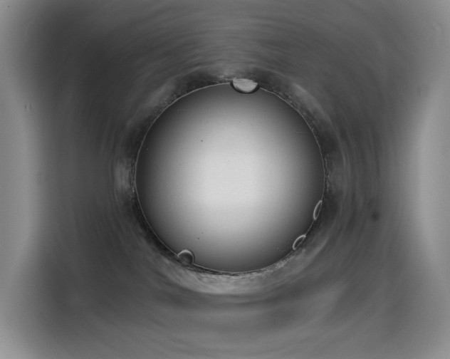 X0000114570044200910191512