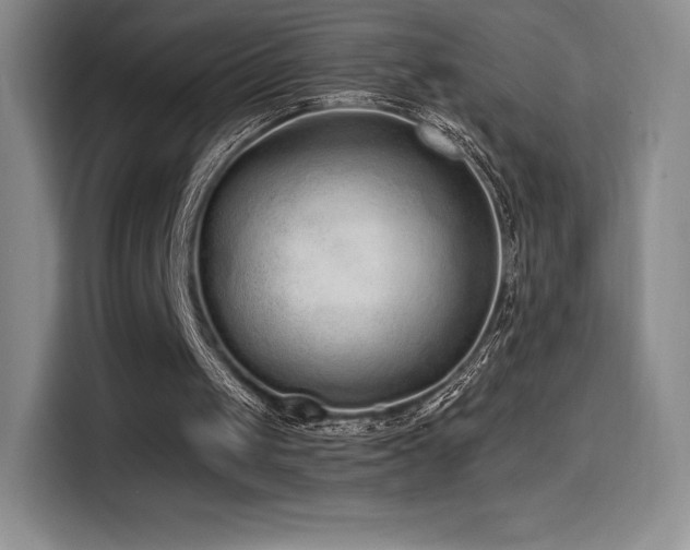 X0000114570049200910191511