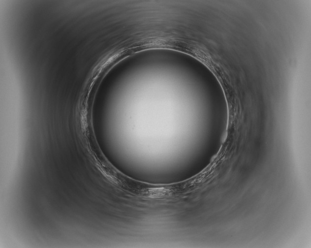 X0000114570050200910191511