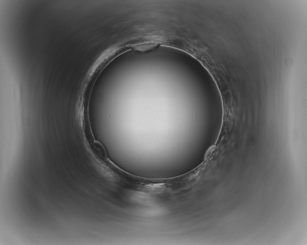 X0000114570054200910191511