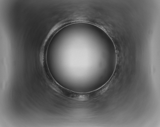 X0000114570056200910191511