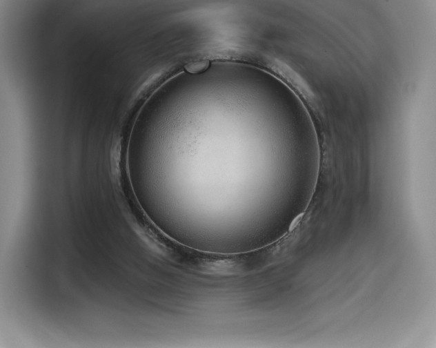 X0000114570058200910191511