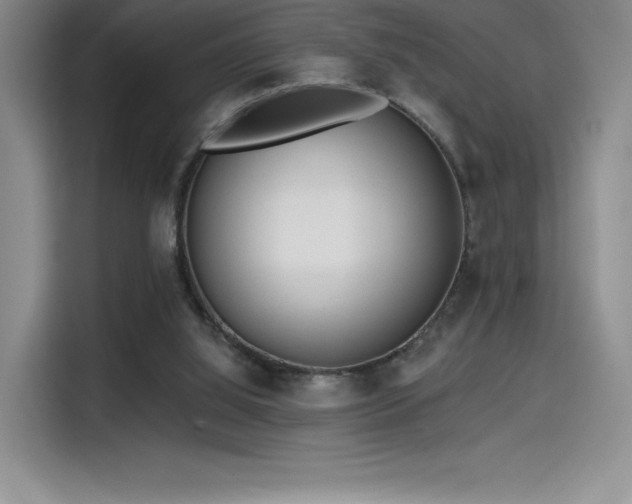 X0000114570060200910191511