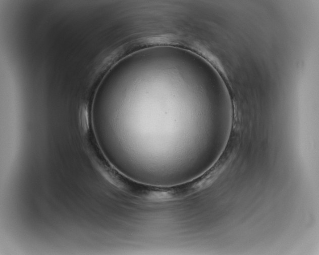 X0000114570061200910191511