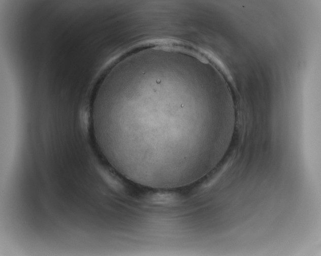 X0000114570063200910191511