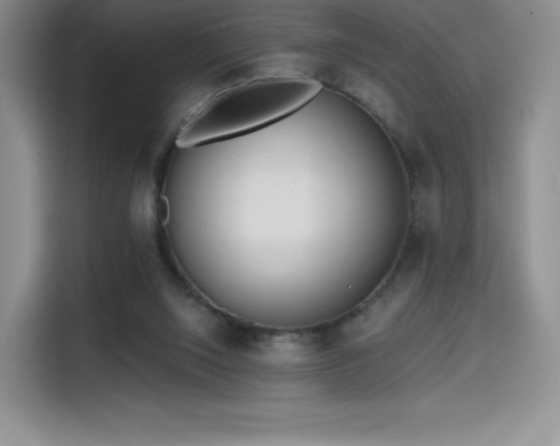 X0000114570064200910191511