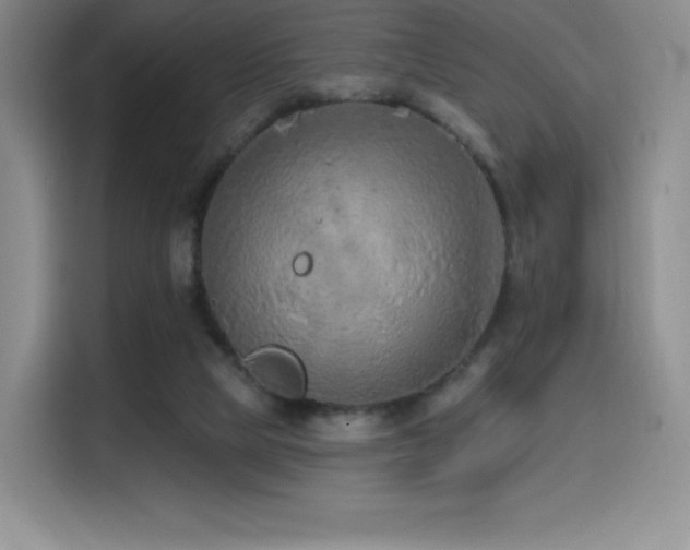 X0000114570065200910191511