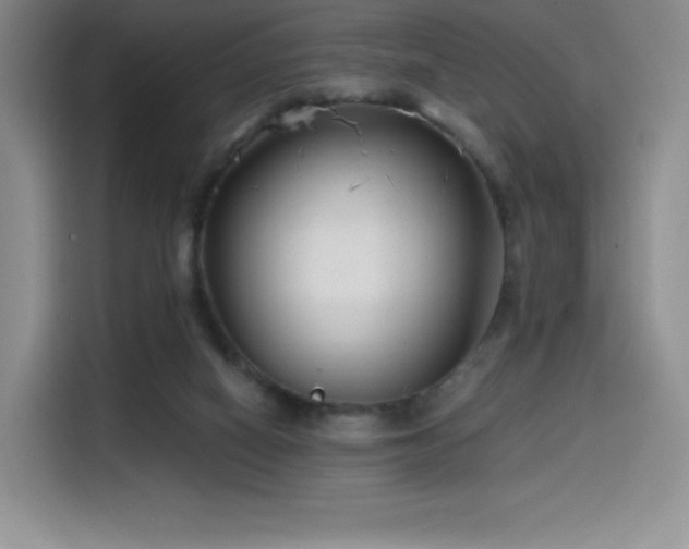 X0000114570066200910191511