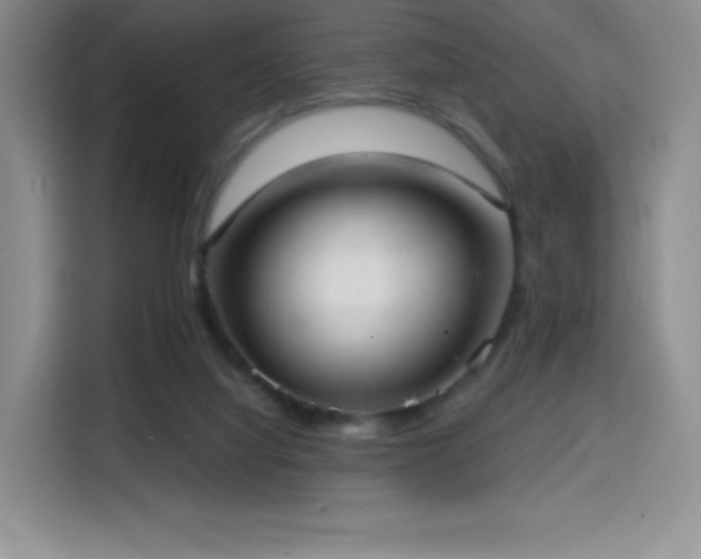 X0000114570068200910191511