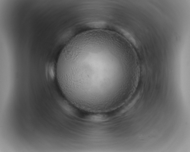 X0000114570069200910191511