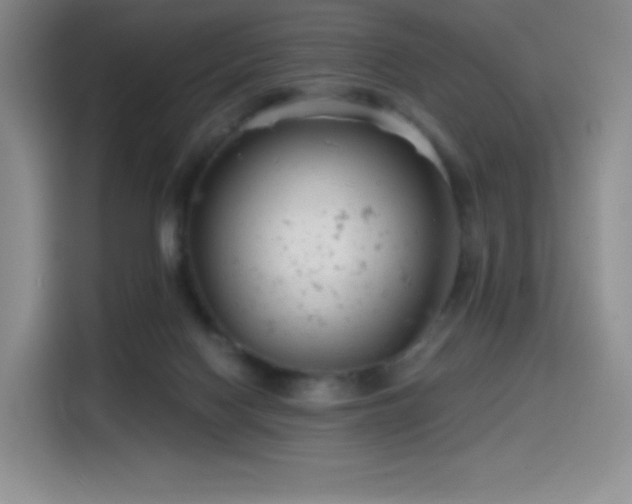 X0000114570074200910191511