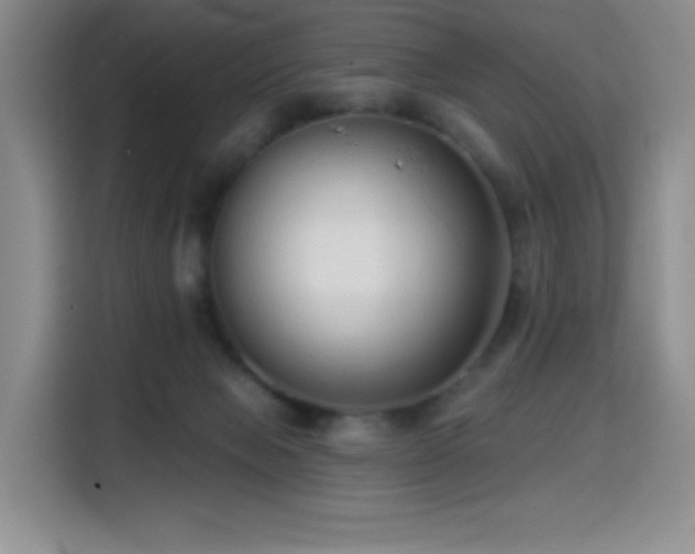 X0000114570077200910191511