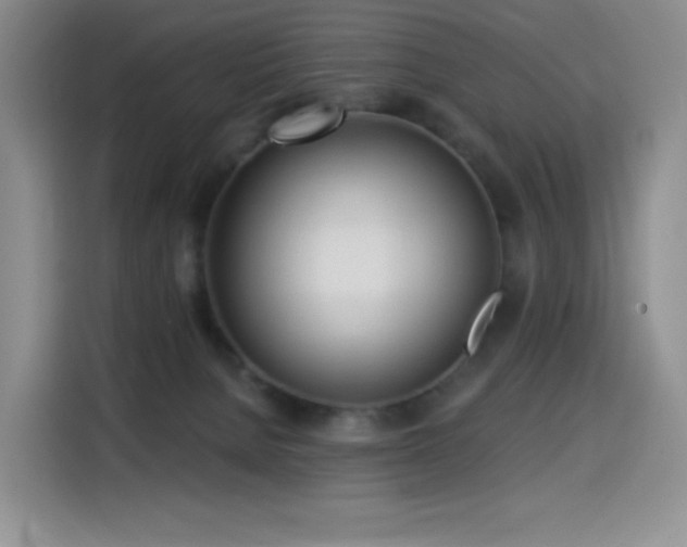 X0000114570080200910191512