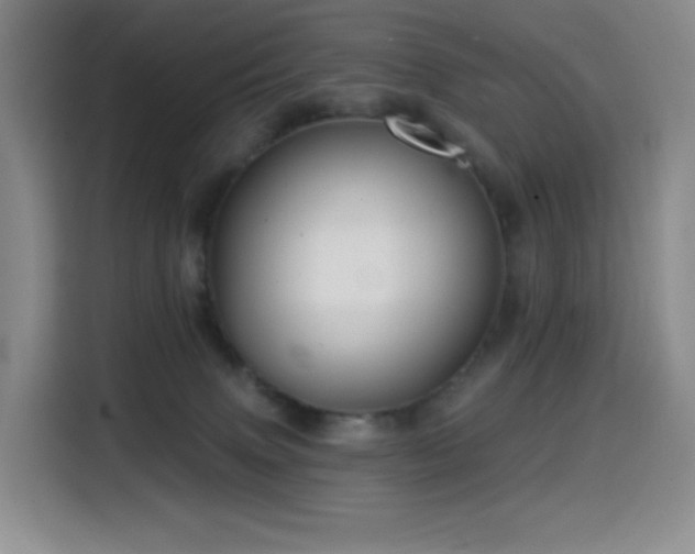 X0000114570083200910191512