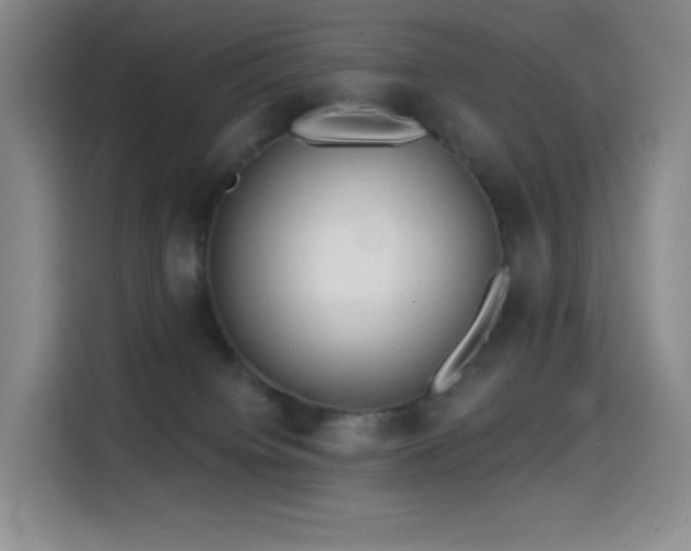 X0000114570084200910191512