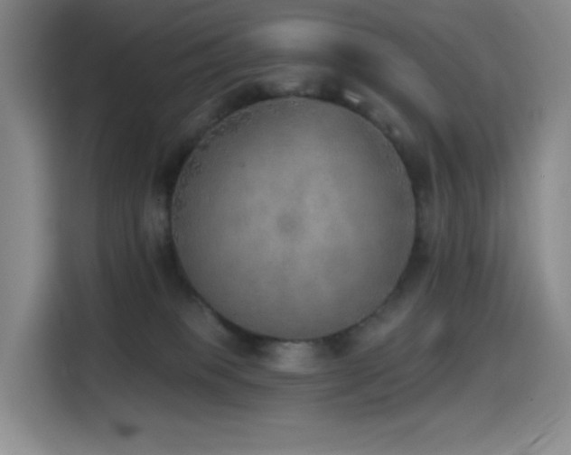 X0000114570085200910191512