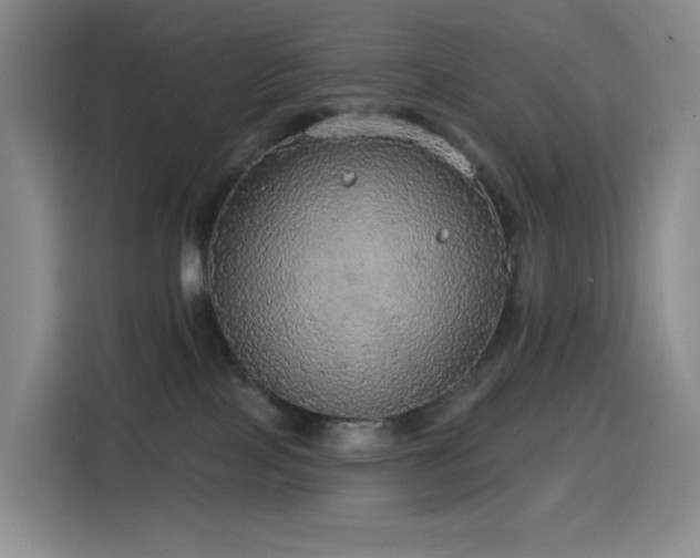 X0000114570089200910191512