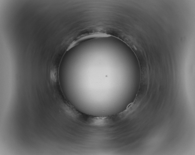 X0000114570090200910191512