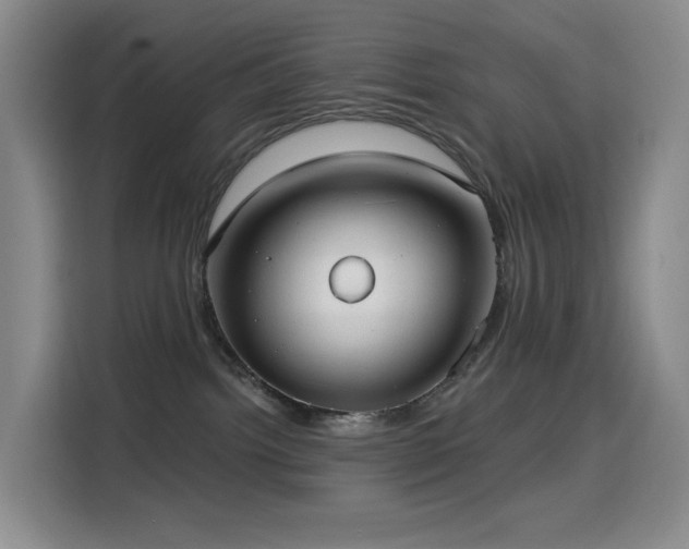 X0000114570092200910191512