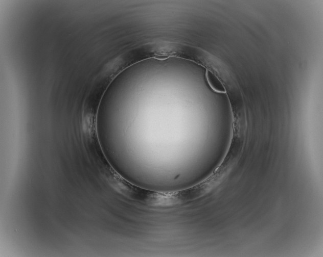 X0000114570093200910191512