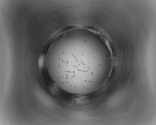 X0000114570095200910191512