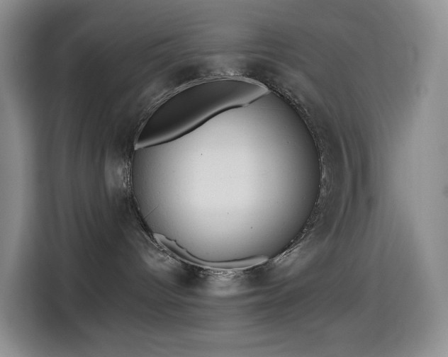 X0000114570096200910191512