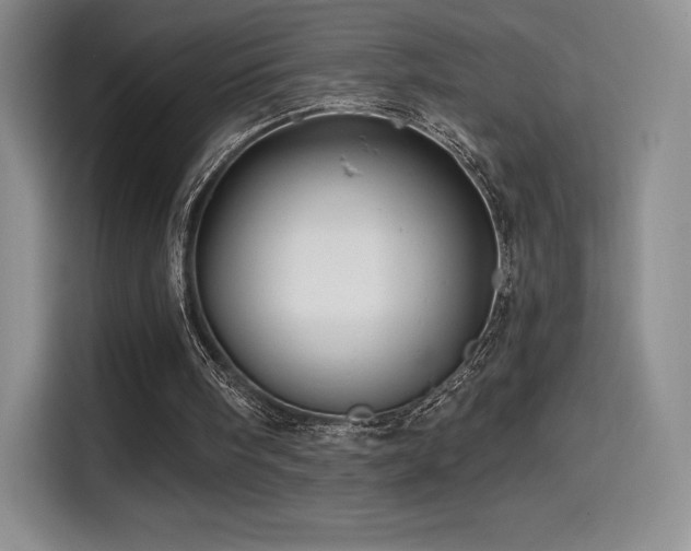 X0000114570098200910191511