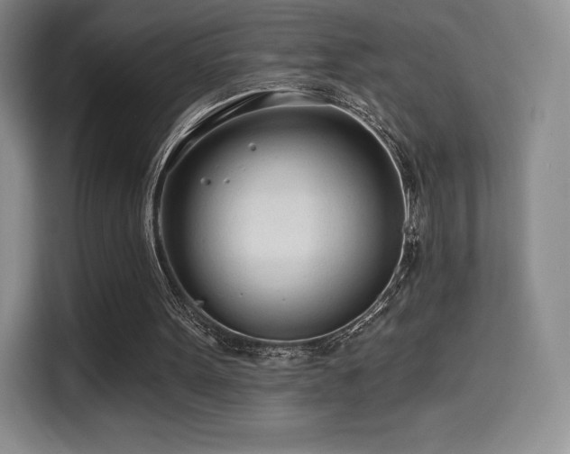 X0000114570099200910191511