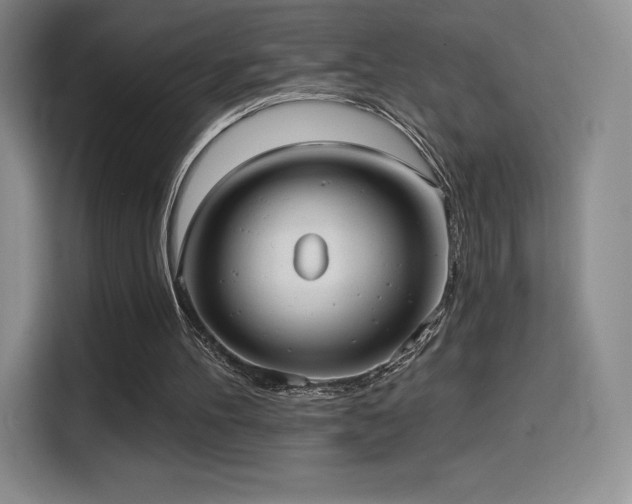 X0000114570100200910191511