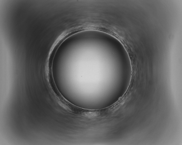 X0000114570102200910191511