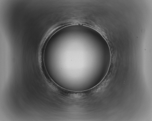 X0000114570103200910191511