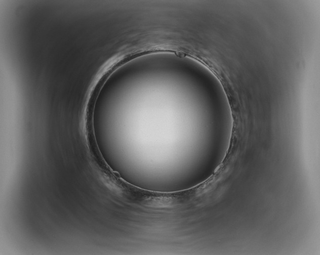 X0000114570104200910191511