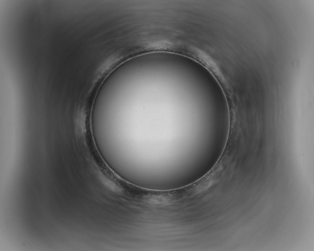 X0000114570106200910191511