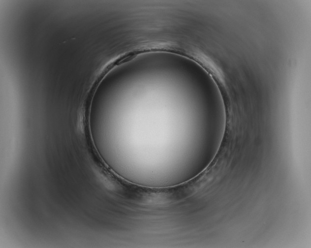 X0000114570107200910191511