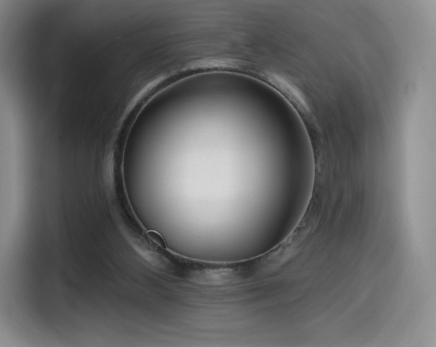 X0000114570108200910191511